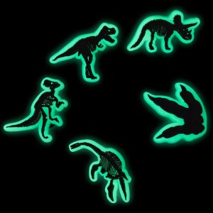 Glow In The Dark Dino 5 Pack - 10011588-001