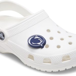 Penn State University - 10012804-001