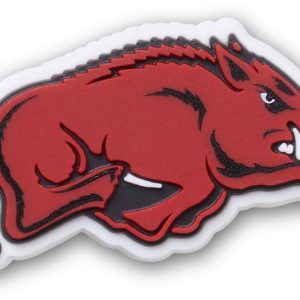 University of Arkansas - 10012808-001