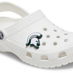 Michigan State University - 10012806-001