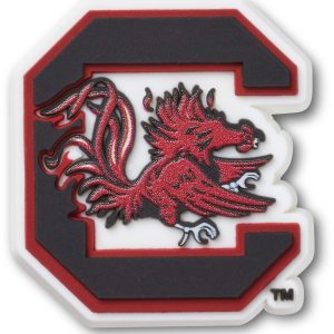 University of South Carolina - 10013122-001