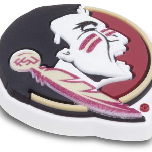 Florida State University - 10012794-001