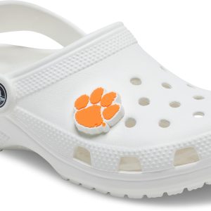 Clemson University - 10011998-001